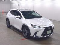  LEXUS NX450H+